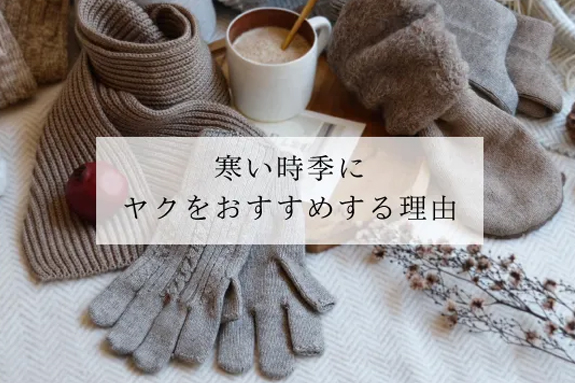 寒い時季にヤクをおすすめする理由